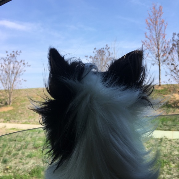 Meet your Posher, Mary - Picture 4 of 16